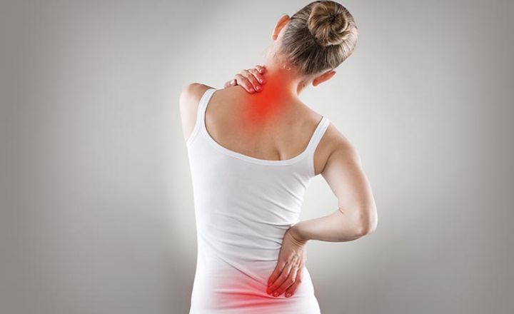  Forschung Aktuell: Rückenschmerzen verstehen