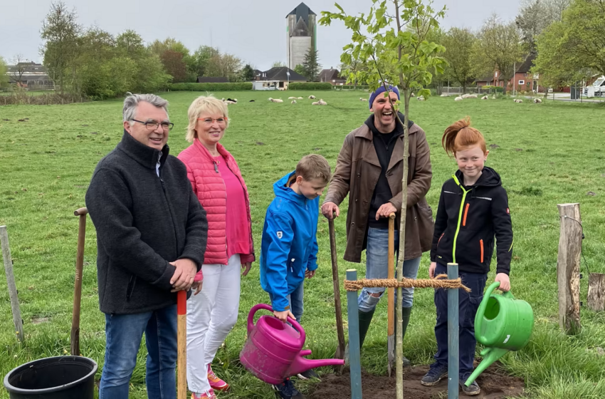  Klimaschutz: HanseWerk-Tochter SH Netz spendet Gemeinde Klixbüll Bäume