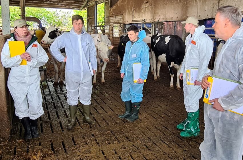  AVA- Fütterungscontrolling-Workshop im Milchkuhbetrieb für Tierärzte und Landwirte