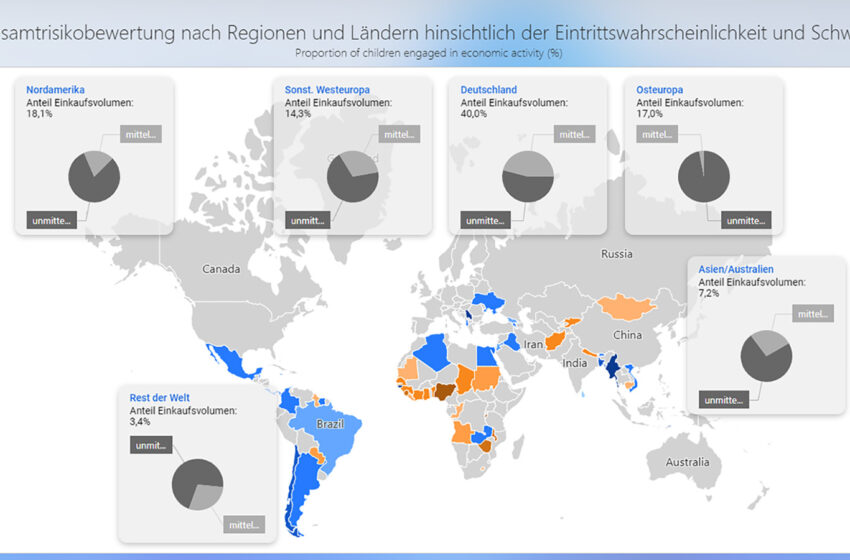  LkSG – Lieferkettensorgfaltspflichtengesetz, ein unterschätztes Pflichtprogramm?