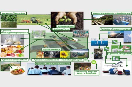 Aufgaben der Landwirtschaft: Die Milchwirtschaft in den nächsten Jahren